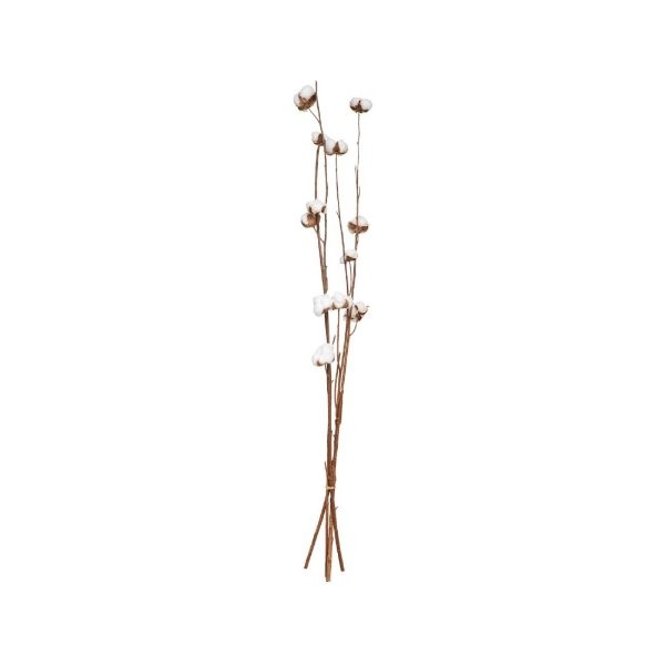 Planta seca natural A100 - 167339