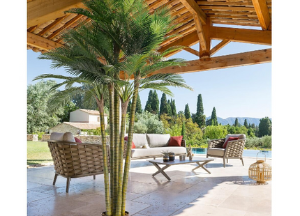 Palmera 5 troncos 3,6m - 168525