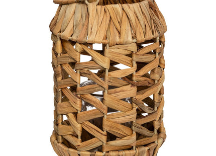 Linterna "Hya" en jacinto A25cm - 168531