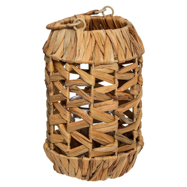 Linterna "Hya" en jacinto A25cm - 168531