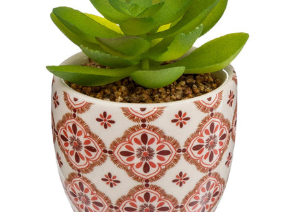 Planta verde en maceta de cerámica A5.5cm - 168596