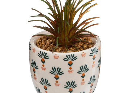 Planta verde en maceta de cerámica A5.5cm - 168596