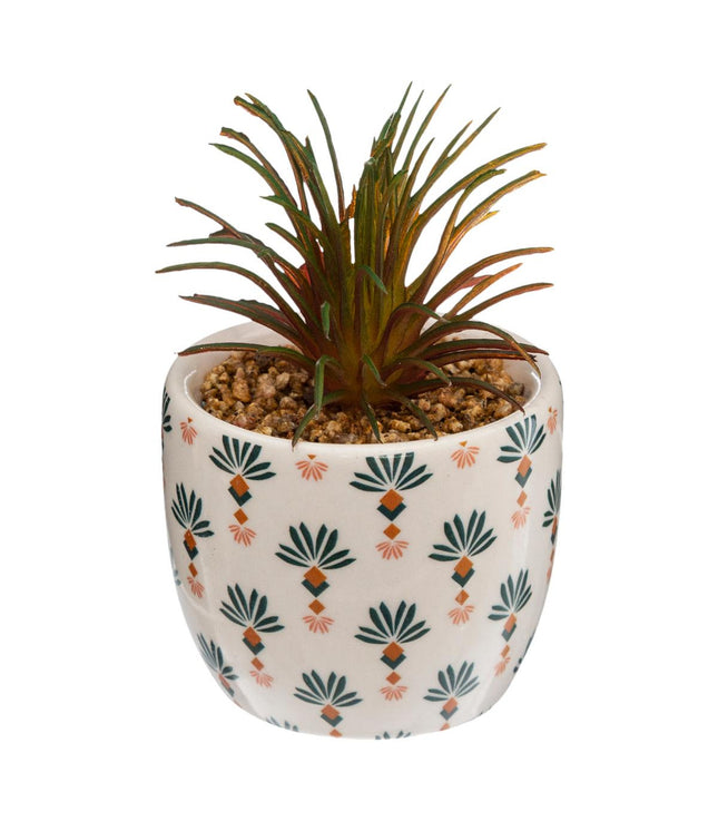 Planta verde en maceta de cerámica A5.5cm - 168596