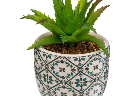 Planta verde en maceta de cerámica A5.5cm - 168596