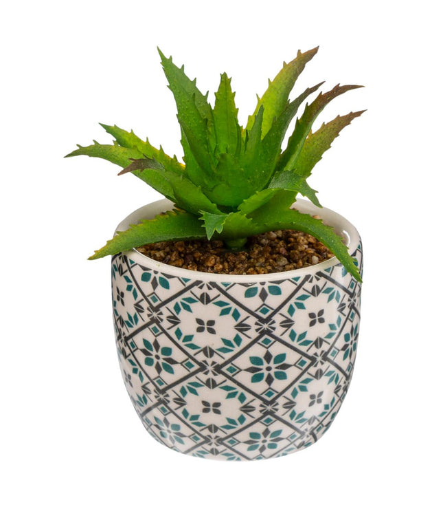 Planta verde en maceta de cerámica A5.5cm - 168596