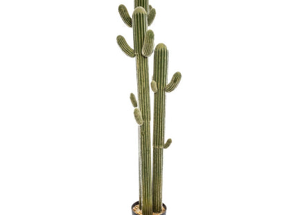 Cactus 3 Troncos en maceta A203cm - 168634
