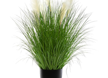 Ramo de Hierbas en maceta A105cm - 168667