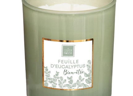 Vela perfumada "Mael" 210gr Eucalipto - 172760H