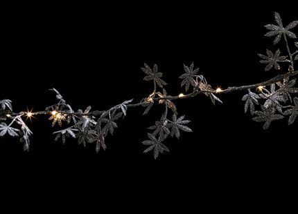 Guirnalda de Interior 25 LEDs Caja 6 Surtidos - 177360