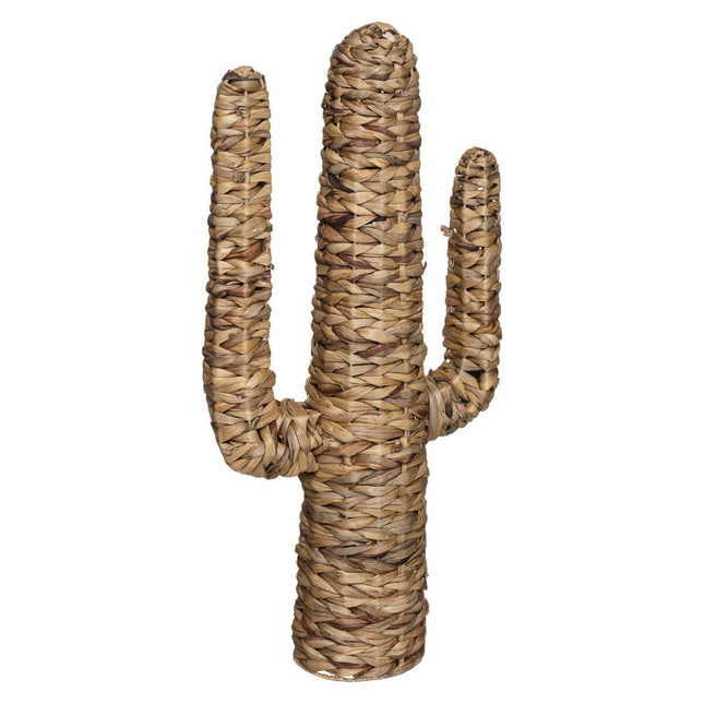 Objeto deco "Cactus" en jacinto A75cm - 178737