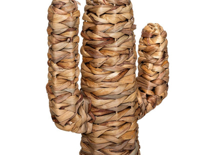 Cactus de jacinto "Hacienda" - 178738