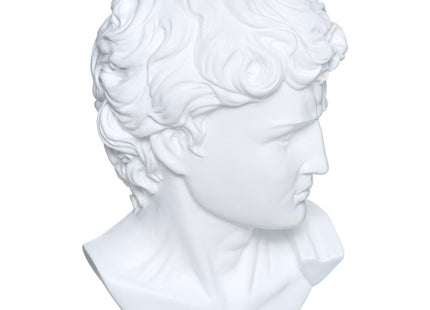 Estatuilla busto de "Cesar" en resina A26cm - 178772