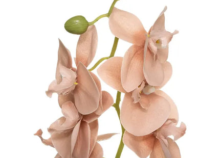 Jarrón de cristal con orquídea artificial "Edi" de 40 cm de alto - 179207
