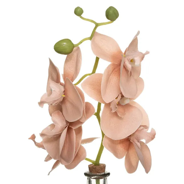 Jarrón de cristal con orquídea artificial "Edi" de 40 cm de alto - 179207