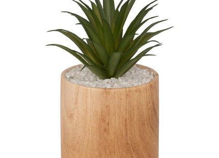 Planta artificial "Sao" marrón A17cm - 179229A