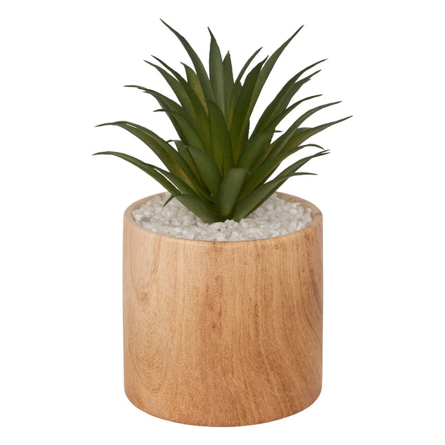 Planta artificial "Sao" marrón A17cm - 179229A