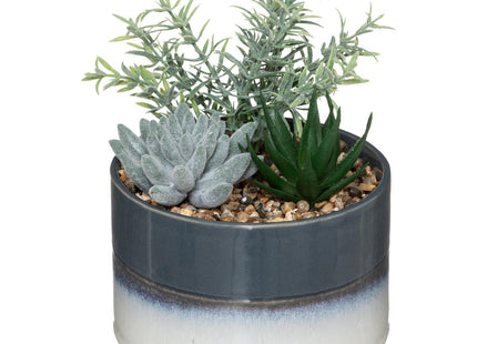 Arreglo de flores en maceta de cerámica bicolor - 179246