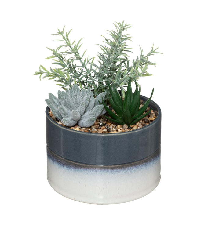 Arreglo de flores en maceta de cerámica bicolor - 179246