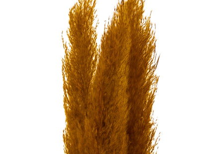 Set de 3 ramas pampa secas color ocre A110cm - 179282C