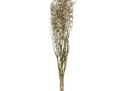 Ramo de "Gypsophile" natural seco A62cm - 179317