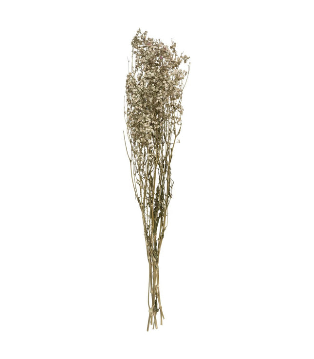 Ramo de "Gypsophile" natural seco A62cm - 179317