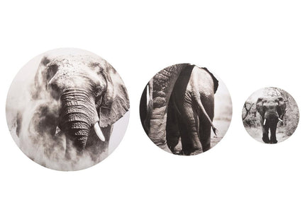 Juego de 3 cuadros de pared redondas estampado elefante D 20 30 y 40 - 179519