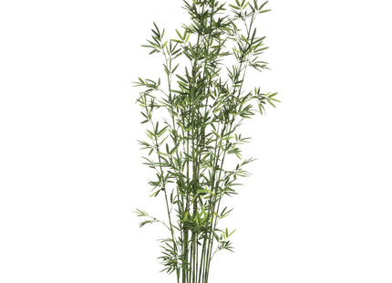 Bambú en maceta de cerámica A180cm - 181473