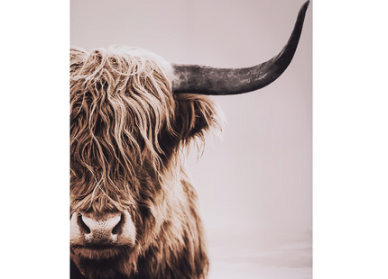 Cuadro enmarcado "Animales" 75x115cm - 185916