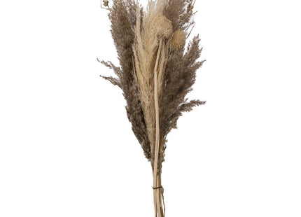 Ramo de pampas secas Ori D18 x A58cm - 189111