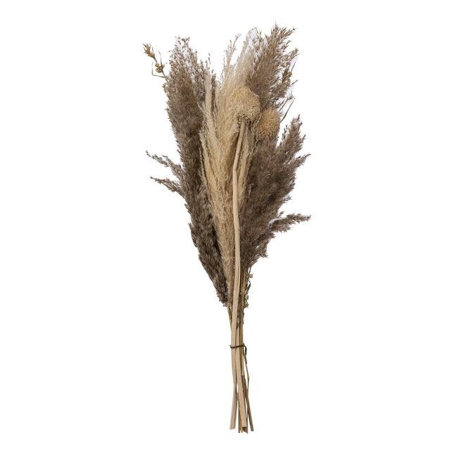 Ramo de pampas secas Ori D18 x A58cm - 189111