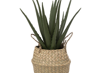 Aloe vera artificial en maceta de carrizo A37cm - 189119