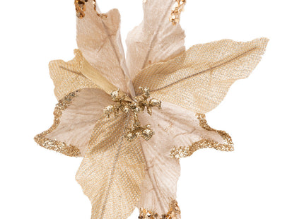 Flor de Pascua champán A23cm - 192353