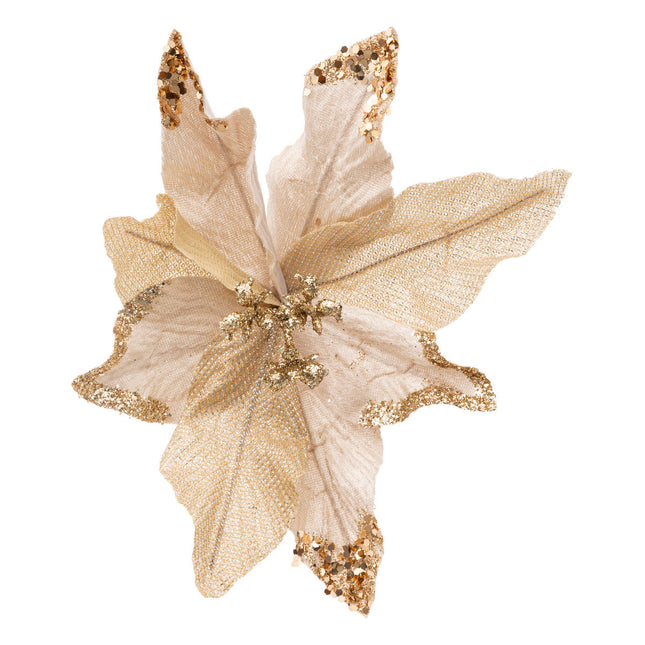 Flor de Pascua champán A23cm - 192353