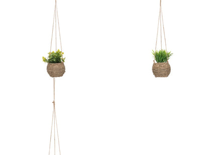 Planta suspendida "Zoe" de caña A17cm - 193789