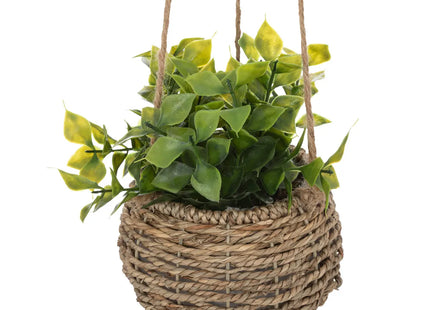 Planta suspendida "Zoe" de caña A17cm - 193789