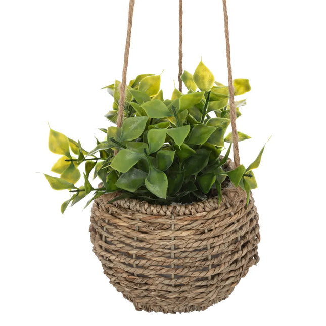 Planta suspendida "Zoe" de caña A17cm - 193789