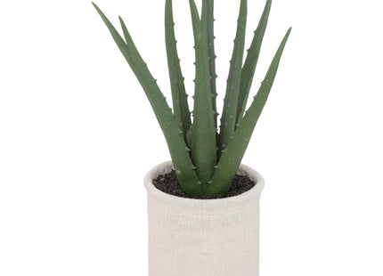 Aloe vera en pote de cemento A29cm - 193791