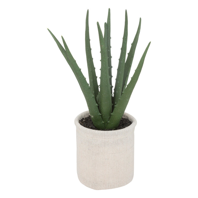 Aloe vera en pote de cemento A29cm - 193791