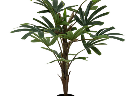 Palmera A120cm -  196698