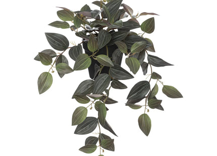 Planta artificial "El Coleccionista" A45cm negra - 196704