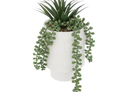 Suculentas artificiales en maceta facial A25cm - 196761