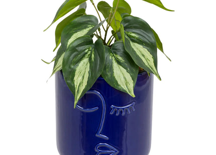 Planta artificial "Soleya" A30cm azul marino - 198130