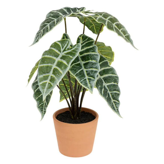 Alocasia artificial en maceta de terracota A43cm - 198138