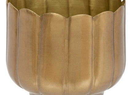 Maceta de pétalos "The floral" D15cm dorado - 198143