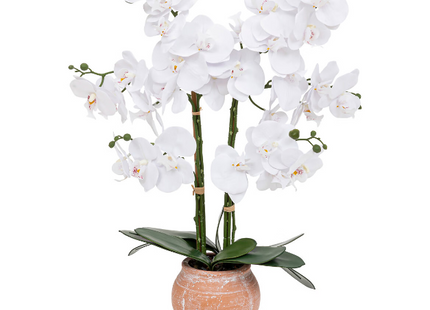 Orquídea artificial "Dena" en maceta de cerámica A65cm - 198222