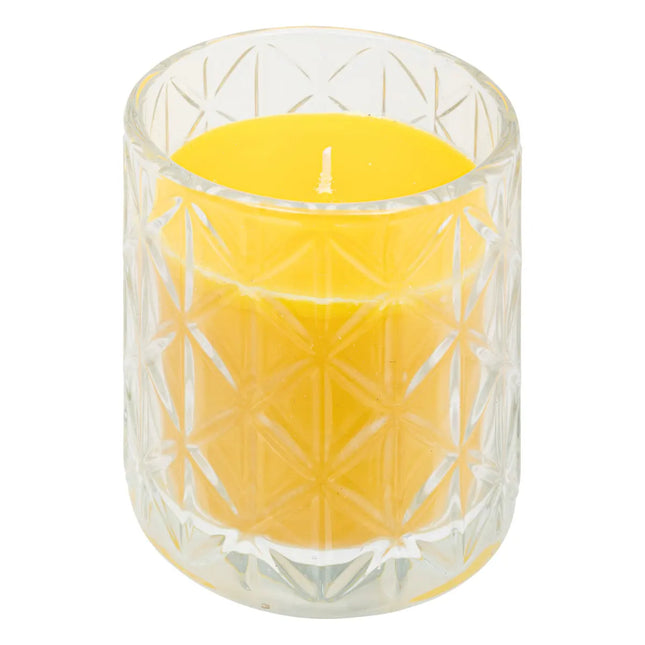 Vela "Any" 90g citronela - 200601