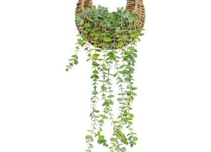 Planta colgante artificial "Zea" A70cm - 204255