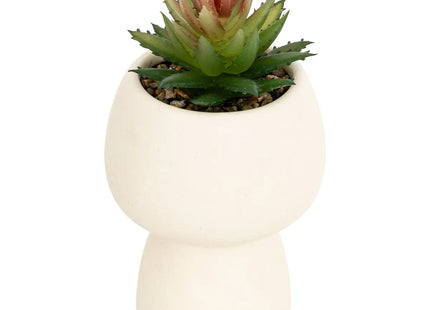 Planta artificial en maceta de cerámica "Livy" A17cm - 204281