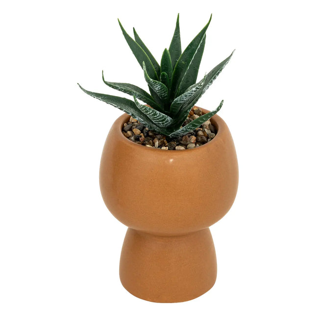 Planta artificial en maceta de cerámica "Livy" A17cm - 204281