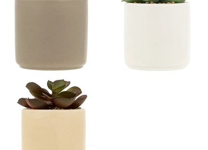 Suculenta artificial "Nils" en maceta de cerámica A12cm - 204282
